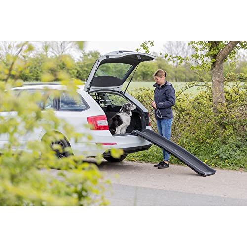 TRIXIE Bi-fold Ramp / 61" Long / 1 Vehicle Ramps