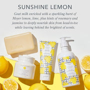 Goat Milk Bar Soap Bundle (9oz) - Sunshine Lemon and Lavender by Beekman 1802 – Commercial Grade