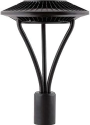 RAB Lighting AREA LIGHT POST TOP 78W NEUTRAL LED TYPE V CLEAR LENS BZ