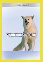 White Wolf