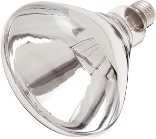 Satco S4885-250 Watt R40 Incandescent Clear Heat Light Lamp Bulbs - 120 Volt - Shatter Proof - Rated for 6,000 Hours (2 Pack)