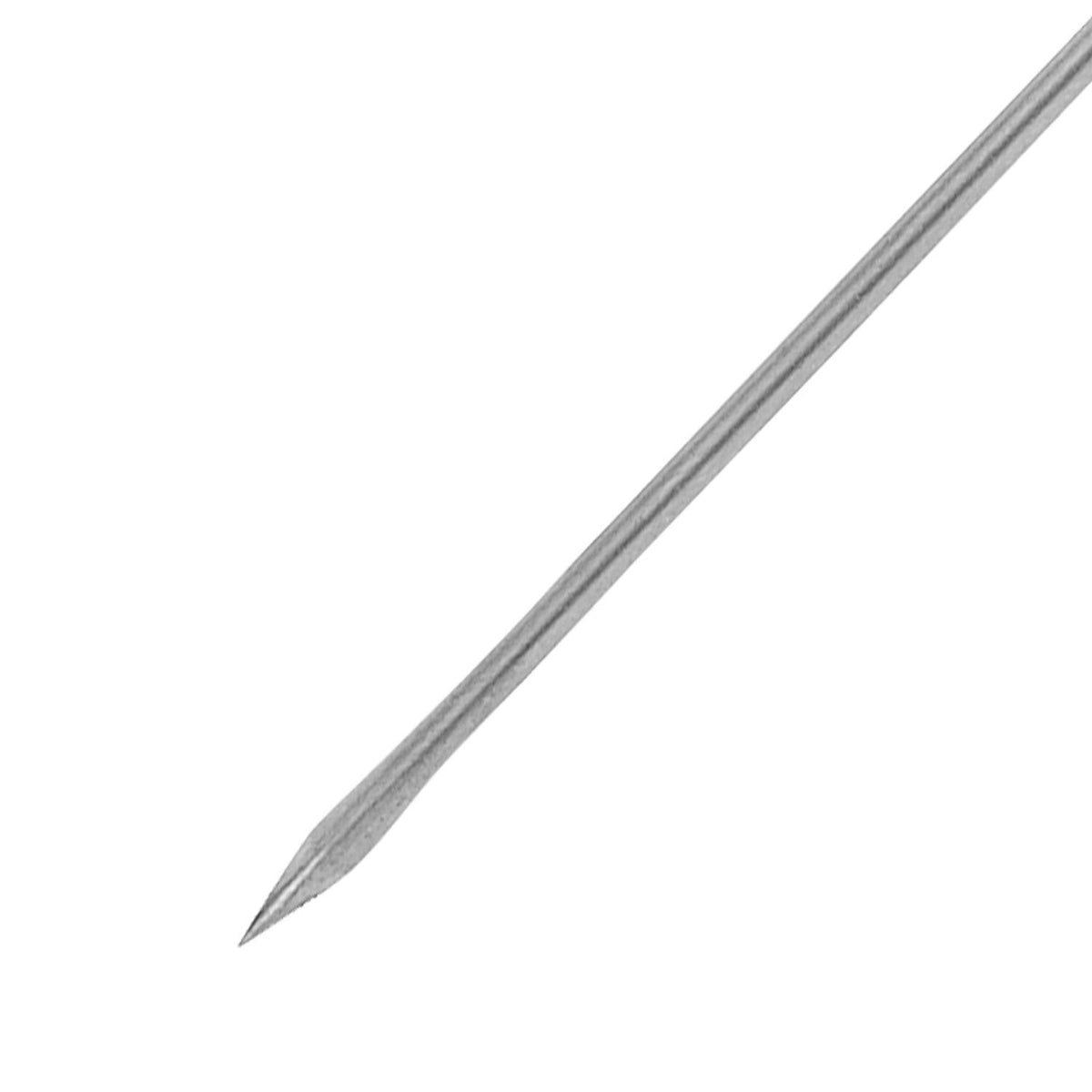 Trussing needle by Westmark – One Size, Stainless Steel, Model 12682270