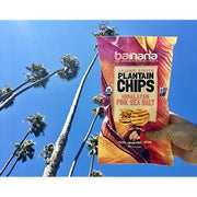 Barnana Himalayan Pink Sea Salt / 5 Ounce (Pack of 8) / 1 Dried Banana Chips