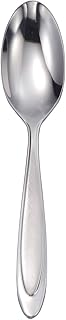 Oneida Aurora Large Serving Spoon
