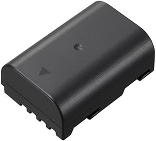 Panasonic DMW-BLF19 Lithium-Ion Battery Pack (Black)