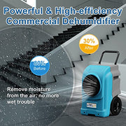 ALORAIR Blue / Large / Storm Elite Dehumidifiers