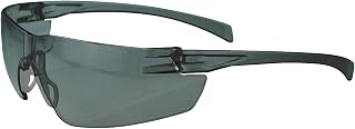 Radians SE1-20 Safety Glasses