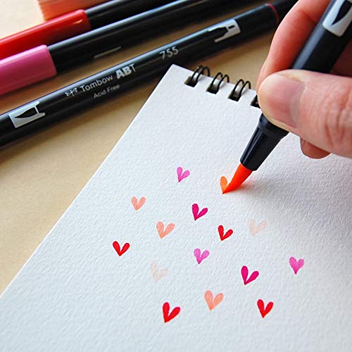 Dual Brush Pen by Tombow – 1 Count (Pack of 1), Plastic, Light Sand, Model AB-T990