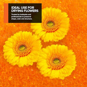 Stock Your Home Orange / 1 Desiccants