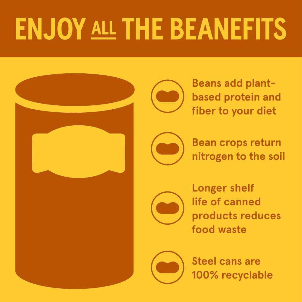 Bush's Best Onion / 28 Ounce (Pack of 18) / 18 Baked Beans