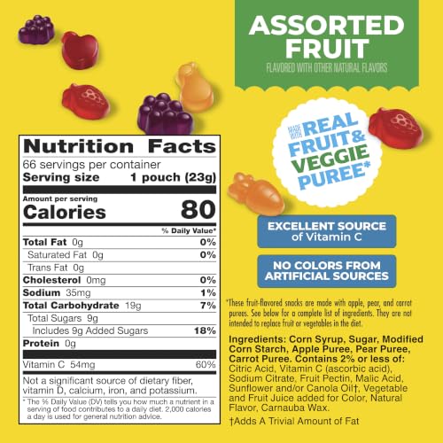 Mott's 66 Count (Pack of 1) Fruit Snacks