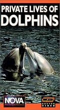 Nova: Private Lives of Dolphins [VHS]