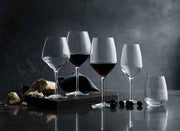 Atelier Stemless Riesling Wine Glass by Luigi Bormioli – 6 Count (Pack of 1), 14 fluid_ounces, Glass, Clear, Pack of 6