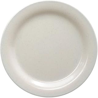 G.E.T. Santa Fe Ironstone 9" Melamine Plate