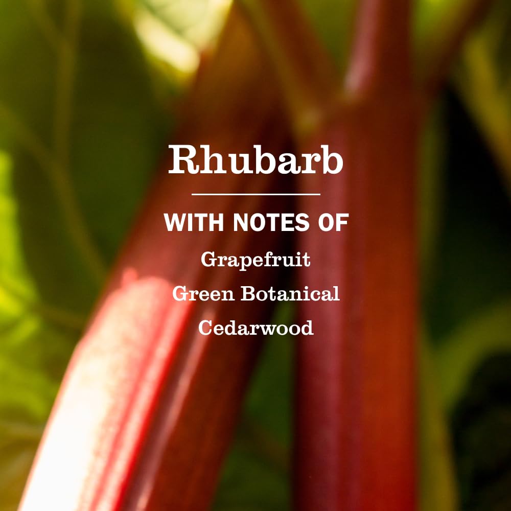 Mrs. MEYER'S Rhubarb / 12.5 Fl Oz (Pack of 1) / 1 Hand Wash