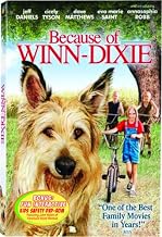 Because of Winn-Dixie