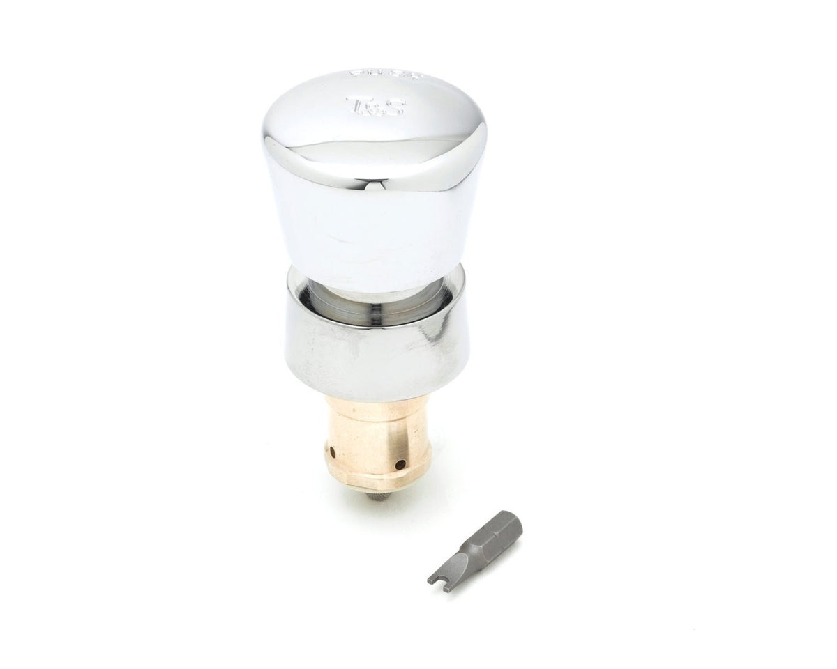 T & S Brass Self-closing Cartridge Plain by T&S Brass – Multicolor, Model 238AB