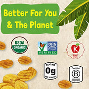 Barnana Sea Salt & Vinegar / 0.83 Ounce (Pack of 6) / Natural Dried Banana Chips