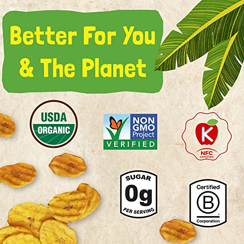 Barnana Sea Salt & Vinegar / 0.83 Ounce (Pack of 6) / Natural Dried Banana Chips
