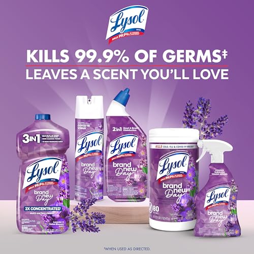 Lysol 80 Count (Pack of 4) / Mango + Lavender / 1 Disinfectant Wipes