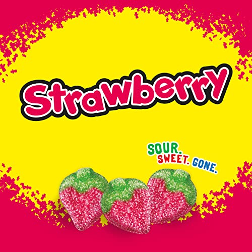 Sour Patch Kids Strawberry / 12 Ounce (Pack of 12) / Red Gummy Candy