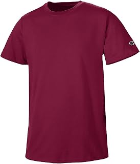 Champion Men's Basic Short Sleeve Tee Shirt Cardinal
