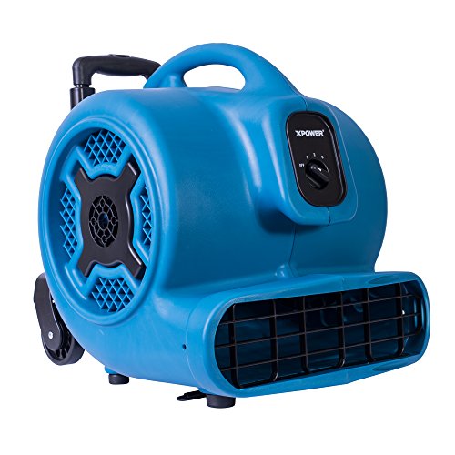 XPOWER 18.67"L x 15.9"W x 18.67"H / Pro P-800H / Blue Floor Fans