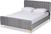 NAMI Modern Glam and Luxe Light Grey Velvet Fabric and Gold Finished Queen Size PLATFOR