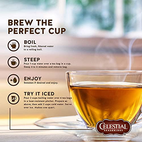 Celestial Seasonings Sleepytime / 20 Count (Pack of 2) / ... Herbal