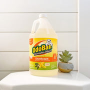 Disinfectant Concentrate and Odor Eliminator by OdoBan – 128 Fl Oz (Pack of 2), Plastic, Clear, Pack of 2, Model 911661