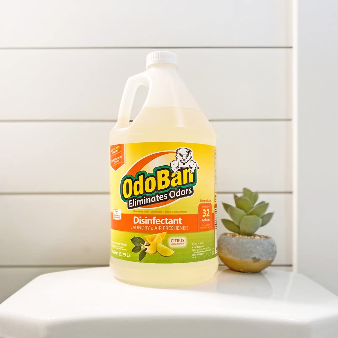 Disinfectant Concentrate and Odor Eliminator by OdoBan – 128 Fl Oz (Pack of 2), Plastic, Clear, Pack of 2, Model 911661