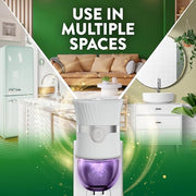 Air Wick 1.65 Fl Oz (Pack of 2) / 5 ct / Lavender & Chamomile Electric