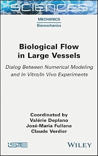 Biological Flow in Large Vessels: Dialog Between Numerical Modeling and In Vitro/In Vivo Experiments
