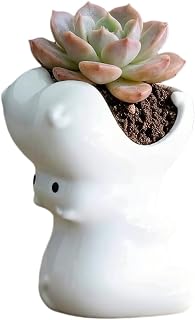 Cuteforyou Succulent Pots,Cute Animal Shaped Cartoon Ceramic Succulent Cactus Flower Planters -Plant Not Included，Hippo
