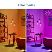 PHILIPS ST19 / Multicolor + Tunable White / 1 LED Bulbs