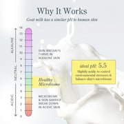 Goat Milk Bar Soap Bundle (9oz) - Sunshine Lemon and Lavender by Beekman 1802 – Commercial Grade