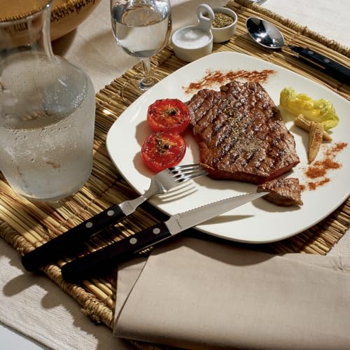 Amefa knife set / Steakbesteck Set für 6 Personen, schwarz / Silver, Black Steak Sets