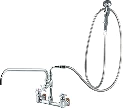 T&S Brass B-0289 Big-Flo Spray Assembly 8-Inch Wall Mount with 18-Inch Add-On Faucet Angled Spray Valve
