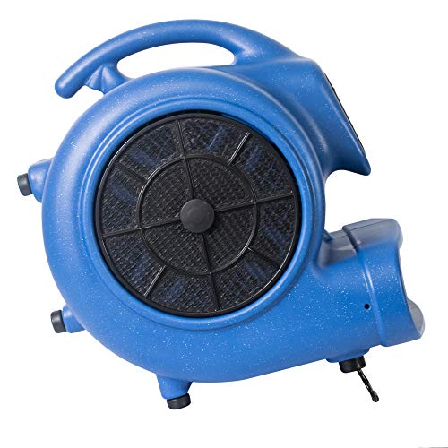 XPOWER Medium / Pro X-800TF / Blue Floor Fans