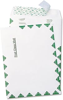Quality Park Survivor R1330 Tyvek USPS First Class Mailer, #55, 6 x 9, White (Box of 100) (Pack of 10)