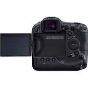 Canon w/ 100-500mm Lens / 1 Mirrorless Cameras