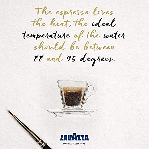 Lavazza Vigoroso / 10 Count (Pack of 1) / 1 Single-Serve Capsules & Pods