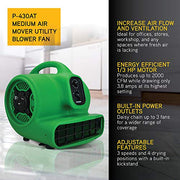XPOWER 13.9 x 14.8 x 14.6 inches / Pro P-430AT / Green Floor Fans