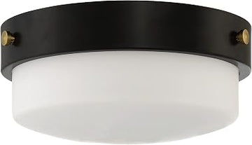 Craftmade Oak Street 12" Flushmount Flat Black