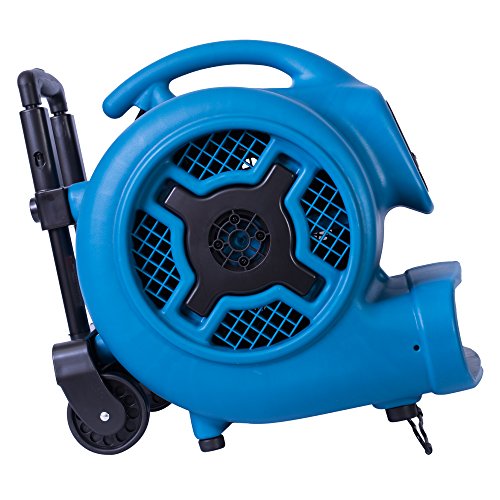 XPOWER 18.67"L x 15.9"W x 18.67"H / Pro P-800H / Blue Floor Fans