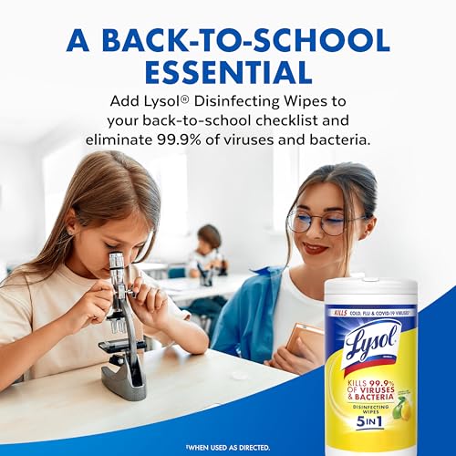 Lysol 80 Count (Pack of 4) / Wipes / 1 Disinfectant Wipes