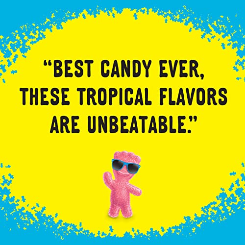 Sour Patch Kids Mixed-Fruit / 7.93 Ounce (Pack of 12) / 1 Gummy Candy