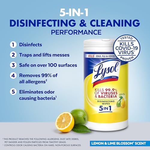 Lysol 80 Count (Pack of 4) / Wipes / 1 Disinfectant Wipes