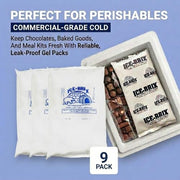 BOX USA 9-Pack Large 10x6 / White / Classic Cold Packs