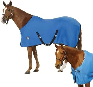 CENTAUR Turbo-Dry Cooler